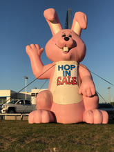 Load image into Gallery viewer, Bunny