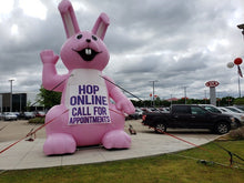 Load image into Gallery viewer, Bunny