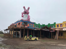 Load image into Gallery viewer, Bunny