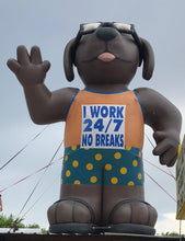 Load image into Gallery viewer, Cool dog