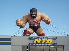 Load image into Gallery viewer, Masked Wrestler