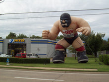 Load image into Gallery viewer, Masked Wrestler